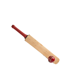 Cricket